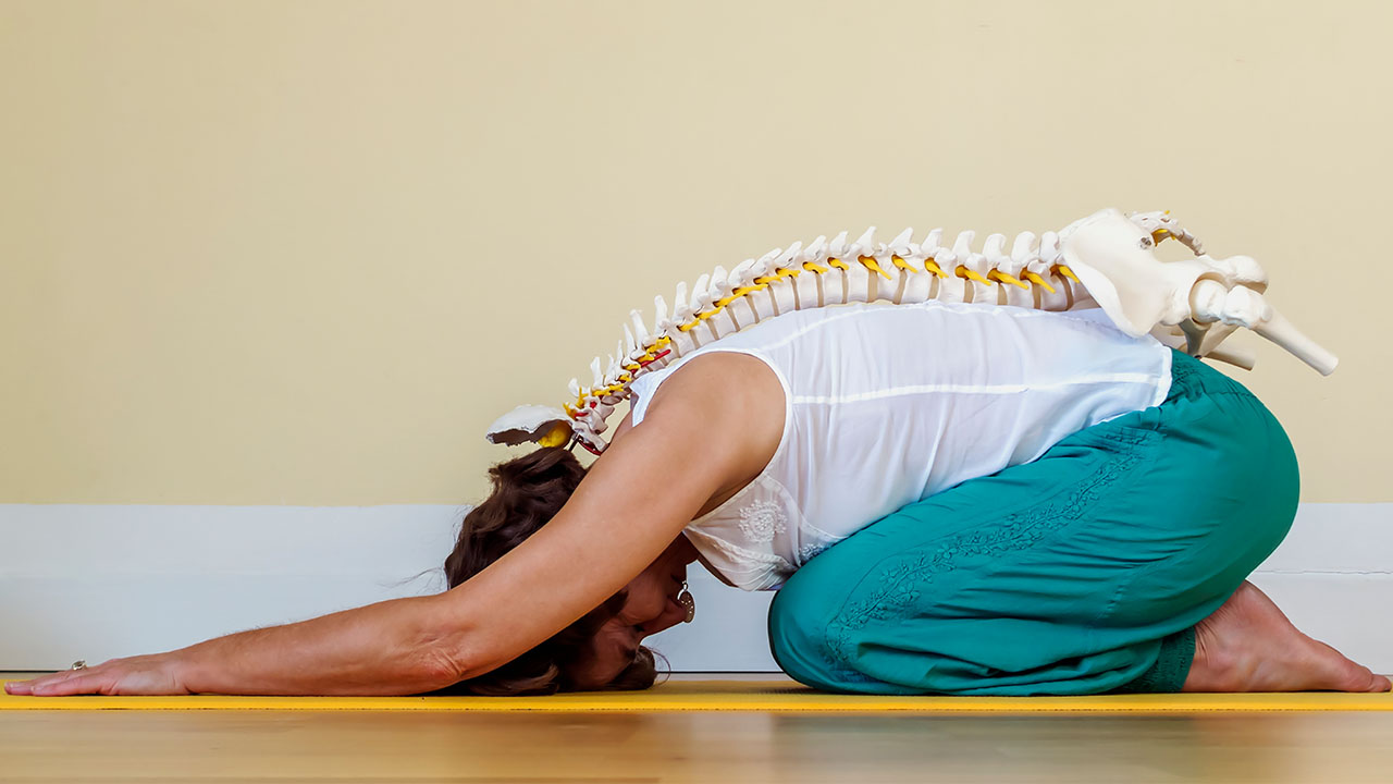 Yoga works, and science is finally proving why!