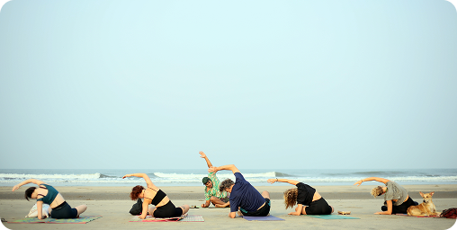 1. Who can use VIDYA